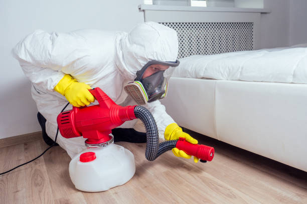 Best Flea Control Services  in Moville, IA