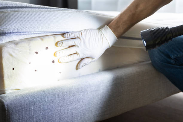 Best Best Pest Control Companies  in Moville, IA